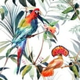 thumbnail image 4 of Graham & Brown Transform Tropical Multi Peel and Stick Wallpaper, 4 of 4