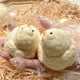 thumbnail image 4 of Herramientas y mejoras para el hogar Juguetes antiestrés ultra suaves de pollito Juguetes de pollito Juguete antiestrés de pollito Juguete antiestrés de pollito Música de pellizco, 4 of 9