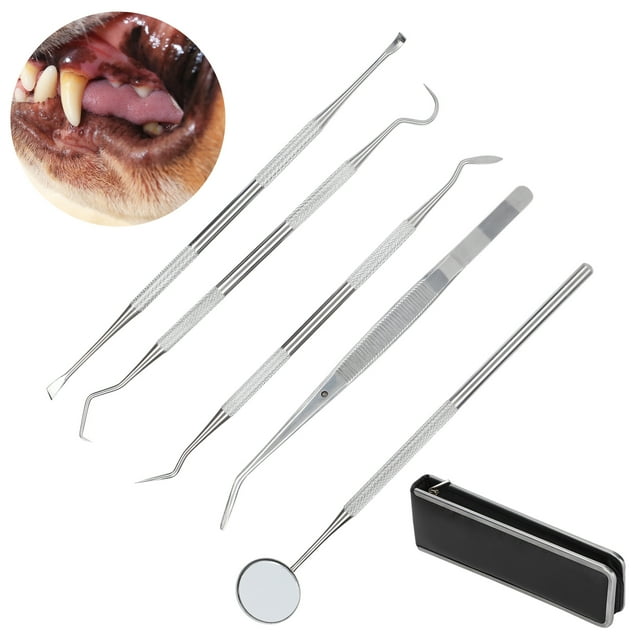 Herramienta dental para mascotas ANGGREK 5 piezas Acero inoxidable