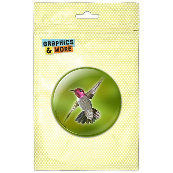 Hummingbird Bird Pinback Button Pin Badge