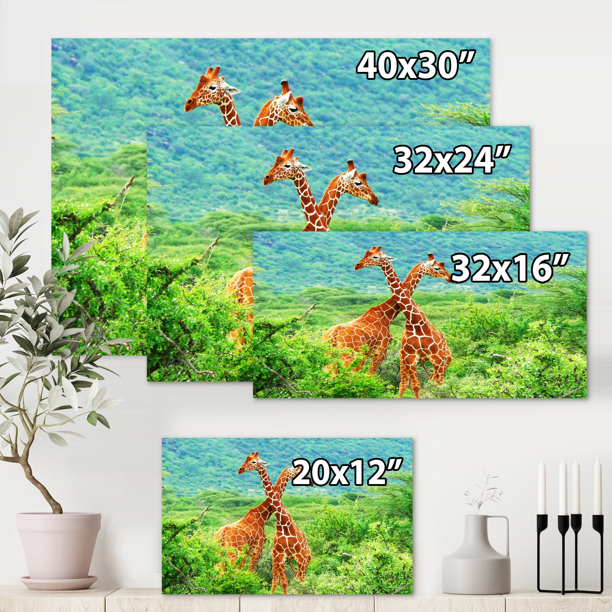 Designart ' Two Giraffes Fighting In Lush Green Wild ' Farmhouse Canvas Wall Art Print