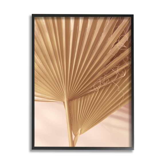 Stupell Industries Two Palm Fronds Sun Bleached Photography Tropical Plants, 11 x 14, Design by Ian Winstanley