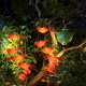 thumbnail image 4 of 1 Uds luz colgante Solar-pájaro rojo Adepaton CPB-US-DYP521-3, 4 of 5