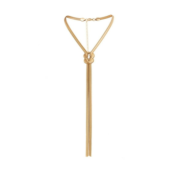 Long Bone Chain Neck Chain Cool Design Chain Tassel Necklace Personality Necklace For Birthday Big Pendant Necklaces for Women Necklace Chain for Men Little Necklace Long Necklace Disc Pendant