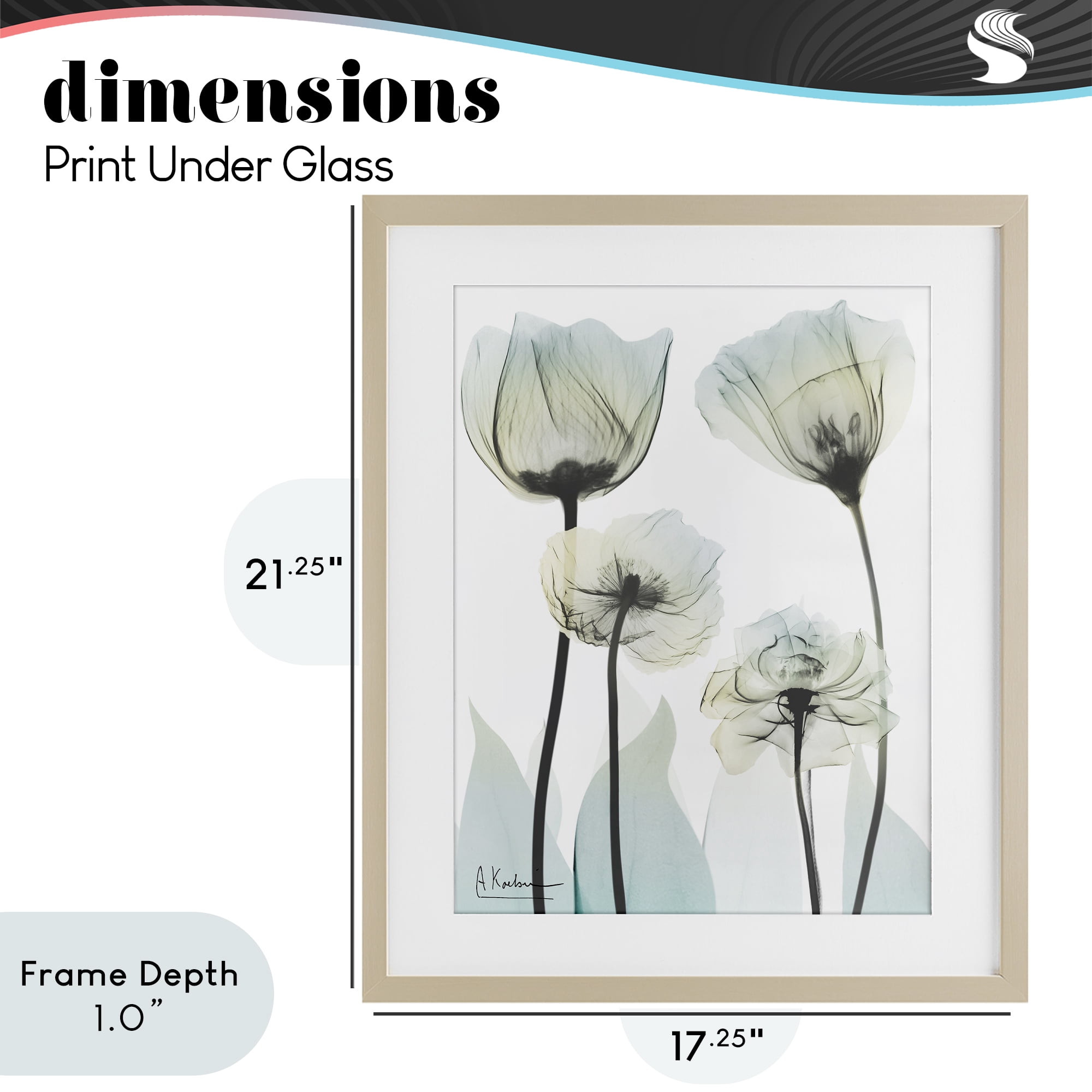 Stupell Industries Floral Luxury Of Creation Birch Framed Print Under Glass, design by Albert Koetsier