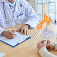 thumbnail image 2 of Vibeat Human Foot Joint Model with Ligaments, Human Anatomy Model, Foot Skeleton Model, 2 of 7