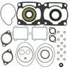 Gasket Kit with Oil Seals For Arctic Cat ZR 440 1996-1998 440cc