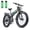 GREEN-1500W Dual battery, variant on Folding Electric Bike for Adult 26'', 1500W E-Mountain Bike 48V 20Ah UL2849 Removable Battery Fat Tire Ebike up to 30MPH Long Range Off Road Ebike Beach Snow Dual Hydraulic&Brakes Bicycle