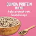 thumbnail image 2 of Aveeno Blackberry Quinoa Protein Blend Sulfate-Free Conditioner for Color-Treated Hair Protection, Daily Strengthening & Moisturizing Conditioner, Paraben & Dye-Free, 18 fl oz, 2 of 5