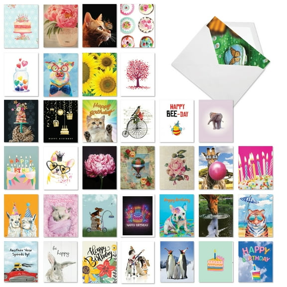 The Best Card Company 36 Assorted Birthday Note Cards Bulk Box Set 4 x 5.12 Inch with Envelopes (36 Designs, 1 Each) A Bunch of Birthdays