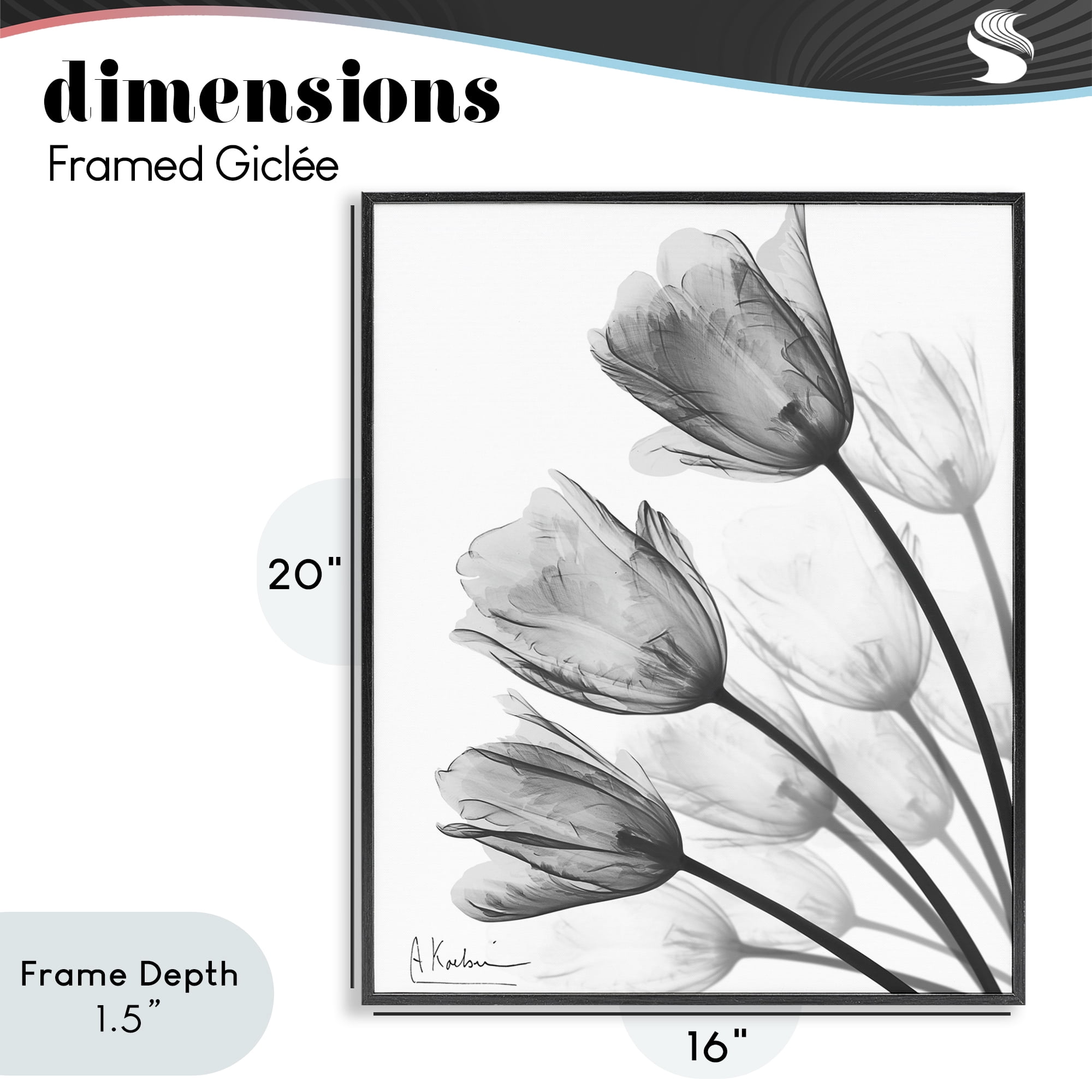 Stupell Industries Minimalist Tulip Fan Black Framed Giclee Art, design by Albert Koetsier