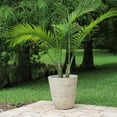thumbnail image 4 of Hibiscus 2 pc Planter Set with White Finish, 4 of 5
