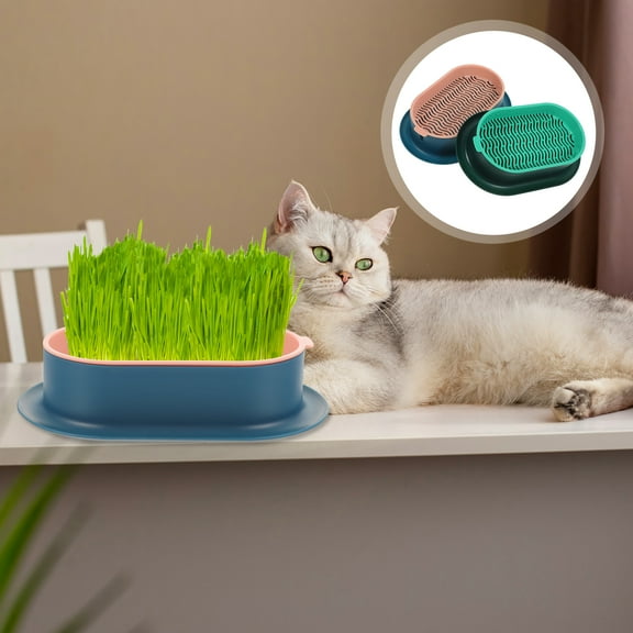 Omeite Cat Snacks Catnip Planting Hydroponic Box Cat Grass Pot Contrast Color Lazy Hydroponic Cat Grass Box Set 2 Sets (Pink and Blue Cat Grass Box   Blue and Green Cat Grass Box Each Set)