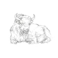 thumbnail image 2 of Harper, Ethan 14x12 White Modern Wood Framed Museum Art Print Titled - Bison Contour Sketch II, 2 of 4