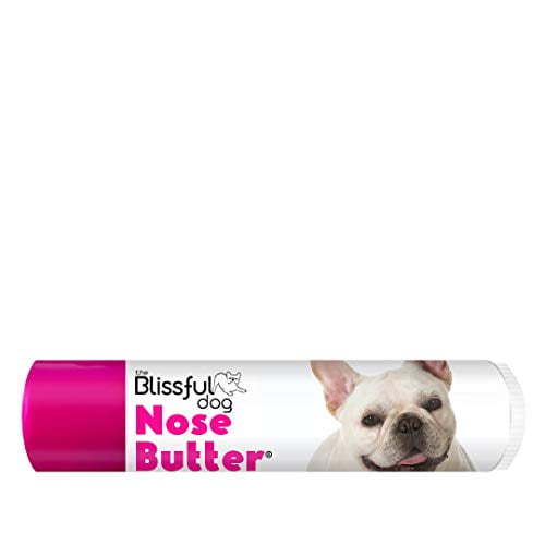 nasal hyperkeratosis french bulldog
