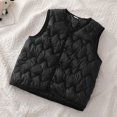 thumbnail image 2 of felwors Toddler Puffer Vest Boys Girls Vest Warm Winter Jacket Lightweight Sleeveless Buttons Coat (18-24 Months,Black), 2 of 6