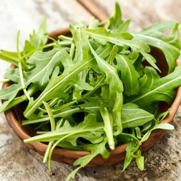 TomorrowSeeds - Astro Arugula Seeds - 5000  Count - For 2026 Planting USA Rocket Roquette Garden