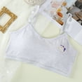 Toddler Underwear Girls Size 1012 Years Kids Bra Vest Children