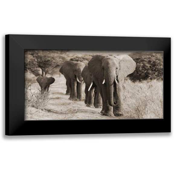Anonymous 14x9 Black Modern Framed Museum Art Print Titled - Herd of African Elephants- Kenya