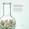 thumbnail image 4 of LifeSeasons - Adrenal-T - Adrenal Fatigue Support Supplement - Helps Lower Cortisol - Avoid Burnout - Aids Stress Management - Energizing - With Ashwagandha Adaptogens - 14 Capsules, 4 of 7