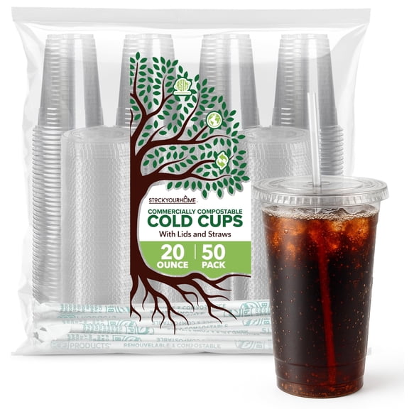 Stock Your Home 20 oz Clear Cold Cups with Lids and Straws (50 Pack), Disposable Drink Cups