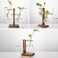 thumbnail image 3 of Simple creative glass vase wooden frame hydroponic vase (C style), 3 of 5