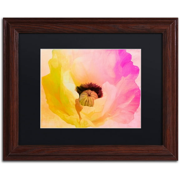 Trademark Fine Art "Poppy Gradient II" Canvas Art by Color Bakery Black Matte, Wood Frame