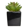 thumbnail image 3 of Kibo Mini Faux Succulent Black Pot, 3 of 4