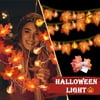 JCXAGR LED Maple Pumpkin Lantern String Halloween Garden Party Room Decoration Lights