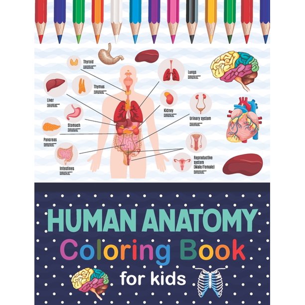 Human Anatomy Coloring Book For Kids Human Body Anatomy Coloring Book For Kids Boys And Girls Human Anatomy Coloring Book For Kids Human Body Anatomy Coloring Book For Kids Boys And Girls