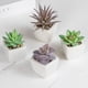 thumbnail image 2 of imitación verdes surtidas en macetas, pequeñas plantas suculentas artificiales con maceta de madera para el hogar, oficina, sala de estar, mesa, escritorio, decoración de plantas, juego de 4, 2 of 5