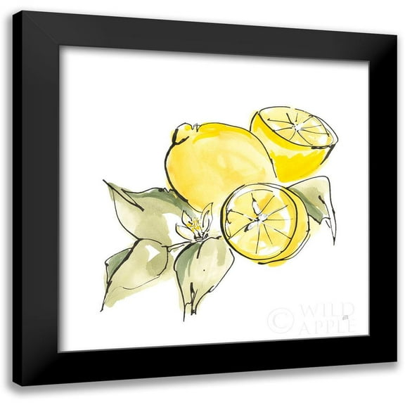 Paschke, Chris 12x12 Black Modern Framed Museum Art Print Titled - Lemon Still Life I