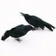 thumbnail image 4 of Black-Feathered Small Crows Halloween Decorations | Outdoor&Indoor Decor | Fake Bird, Halloween Birds, Scary Ravens, Decorative Crows, Raven | Home, Fence, Porch, Tree, Party Decoration, 4 of 6