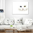 thumbnail image 4 of Designart Portrait of Cute White Kitten - Animal Throw Pillow - 12x20, 4 of 5