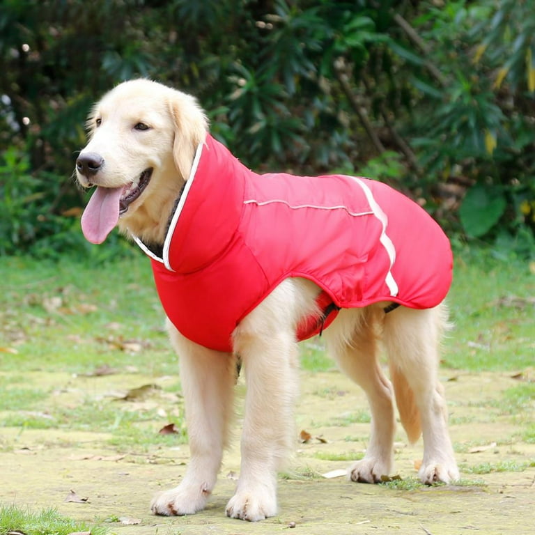 Hiking vest for clearance dogs