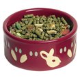 thumbnail image 4 of Kaytee Paw-Print Petware Bowl Bunny, Rabbit Food or Water Dish, 4 of 4