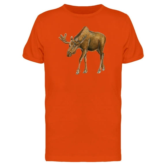 Moose Photo Ts Tee Men's -Image by Shutterstock