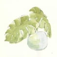 thumbnail image 3 of Paschke, Chris 12x12 Black Modern Framed Museum Art Print Titled - Plant Big Leaf IV, 3 of 5