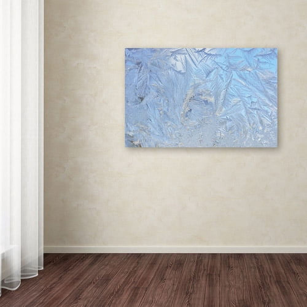 Trademark Fine Art "Frost Pattern 3" Canvas Art by Kurt Shaffer