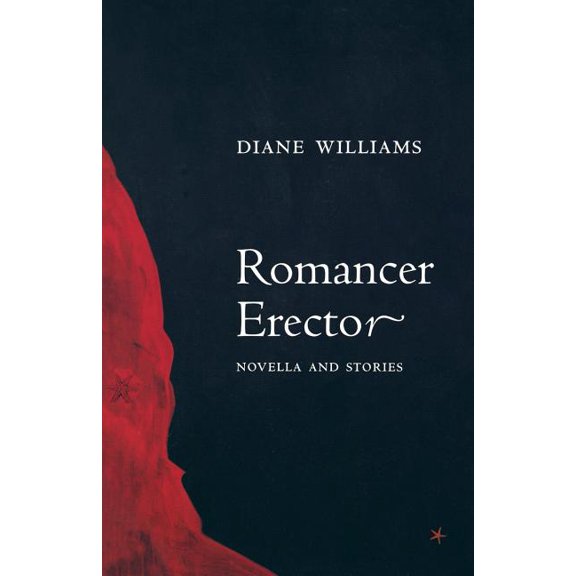 American Literature Romancer Erector, (Paperback)
