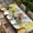 LightGrey, variant on Spring Table Cloths for 6 Foot Rectangle Tables, Brown Vintage Birds Cages Eggs Flowers Herbs Patio Waterproof Elastic Fitted Tablecloths, Washable Rectangular Table Cover for Camping