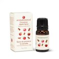thumbnail image 1 of Set of 4 Cinnamon Apple Spicke Essential Oil, 1 of 1