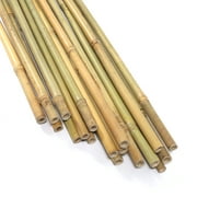 Ecostake 6 Bamboo Garden Support Stakes with Eco-Friendly Natural Material (150 Pack)
