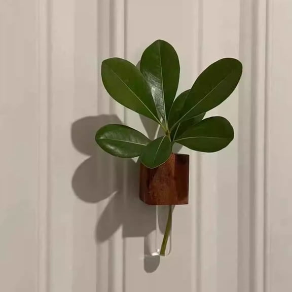 Magnetic Wall Vase for Plants, Solid Wood Flower Pot Refrigerator Sticker, 3D Decorative Magnetic Planter, Modern Home Office Decor, Succulent Herb Glass Terrarium, Indoor Gardening Gift Idea