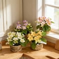 thumbnail image 5 of Small Artificial Potted Flowers in Woven Basket, Realistic Fake Plants with Green Leaves & Multicolor Blooms, Indoor Decor for Home Office Tabletop, Bathroom Shelf, Farmhouse & Boho Style, 5 of 7