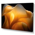 thumbnail image 2 of Designart "Sunlit Yellow Floral Portrait" Flowers Canvas Art Print, 2 of 7