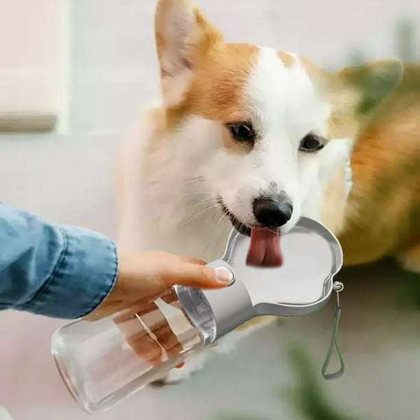 Xihbxyly Comedero para Gatos, Diseño de Cuenco Doble Inclinado, Cuenco de Vidrio Resistente a Altas Temperaturas, Solución de Alimentación a Prueba de Derrames, Ideal para Gatos y Perros Pequeños, El