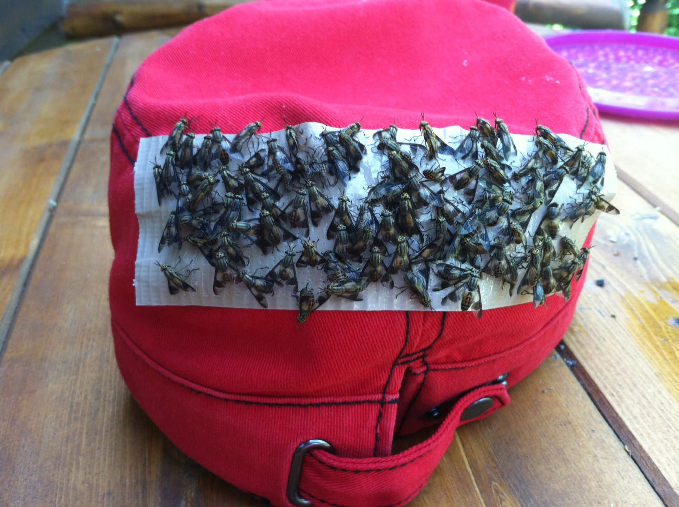 40 / PK Deerfly Patches / Deer Fly Patch