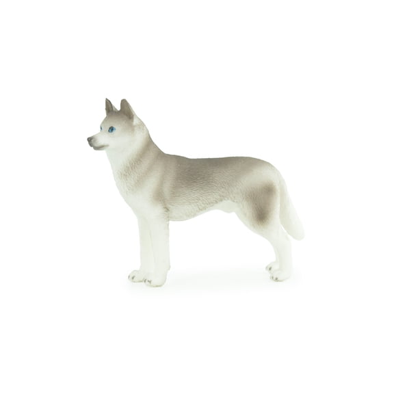 Siberian Husky Dog, Hand Painted, Educational, Museum Quality, Realistic, Rubber Canine, K9, Diorama, Figure, Toys, Kids, Gift, 3 1/2 Inches. CH900 BB202