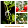 thumbnail image 3 of BRIGHTFUFU 400Ud Clips De Sujeción Para Plantas Tutor Transparente Para Cultivo Vegetal, 3 of 8